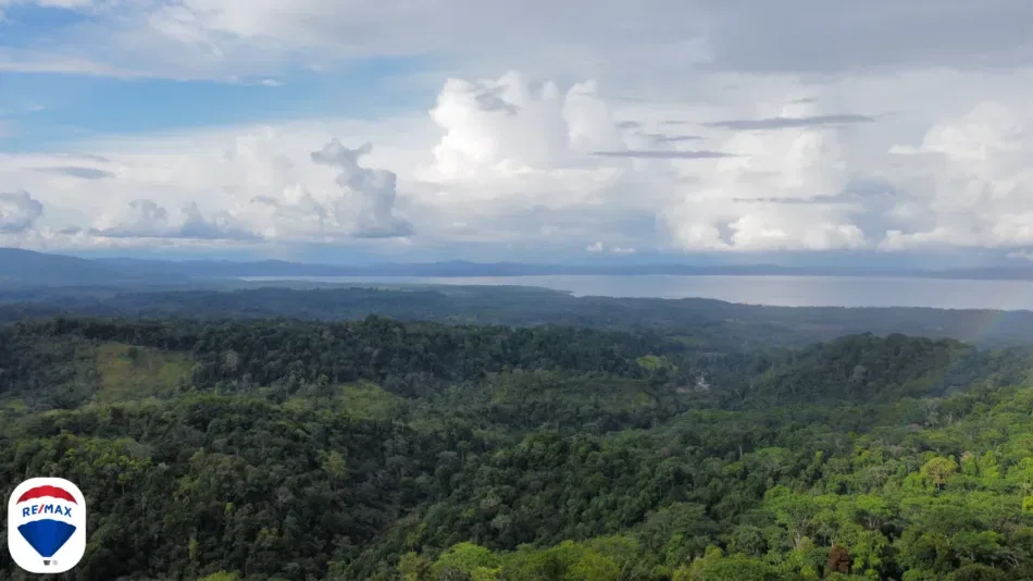 Gulfview Lot for Sale Osa Peninsula Costa Rica | 16 Hectares with Jungle &amp; Ocean Views - REMAX Jungle Properties | Pavones Golfito Real Estate
