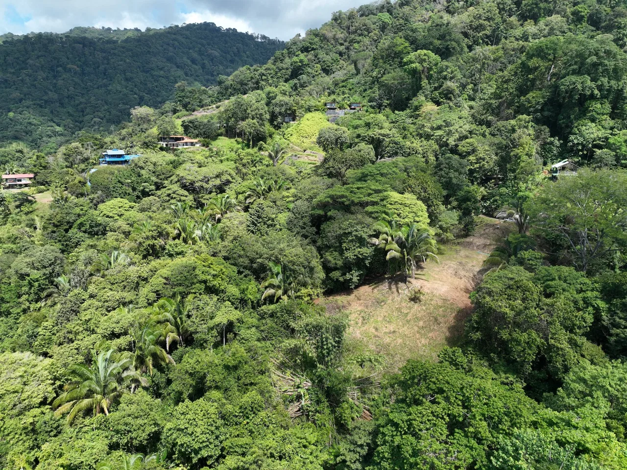MOUNTAIN BUILDING PROPERTY WITH OCEAN VIEWS, IN PLAYA HERMOSA – 1.2 ACRES, photo 2