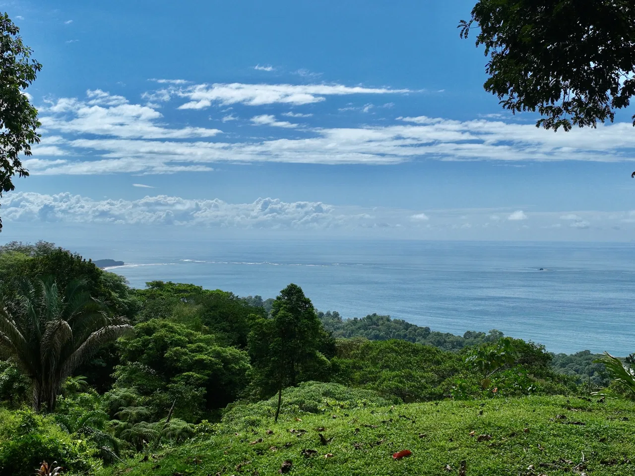 MOUNTAIN BUILDING PROPERTY WITH OCEAN VIEWS, IN PLAYA HERMOSA – 1.2 ACRES, photo 4