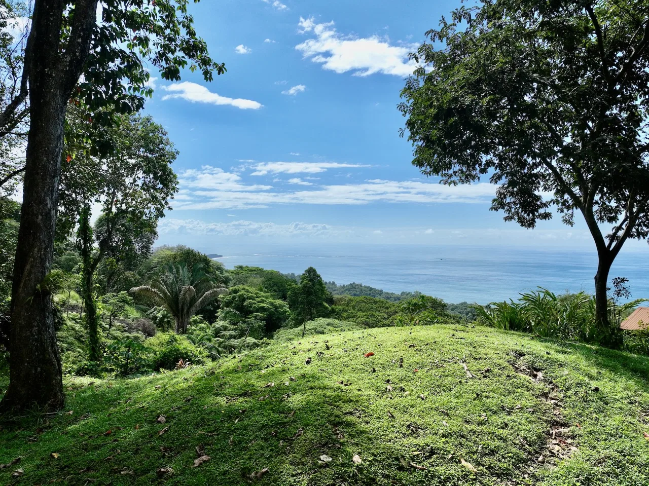 MOUNTAIN BUILDING PROPERTY WITH OCEAN VIEWS, IN PLAYA HERMOSA – 1.2 ACRES, photo 5