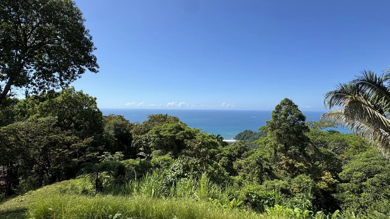 MOUNTAIN BUILDING PROPERTY WITH OCEAN VIEWS, IN PLAYA HERMOSA – 1.2 ACRES, photo 7