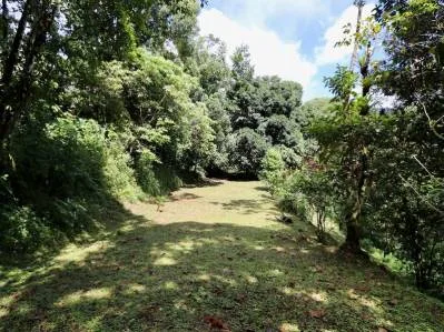 Mountain View jungle property bordered by a river, photo 2