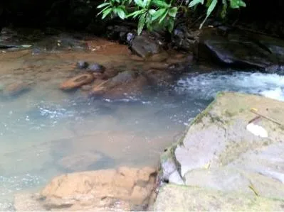 Mountain View jungle property bordered by a river, photo 4