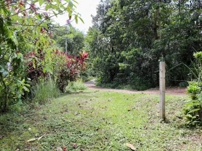 Mountain View jungle property bordered by a river, photo 6