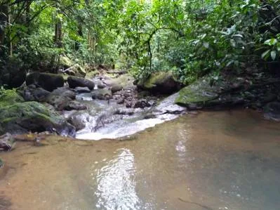 Mountain View jungle property bordered by a river, photo 7