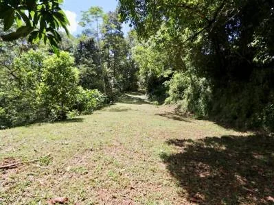 Mountain View jungle property bordered by a river, photo 8