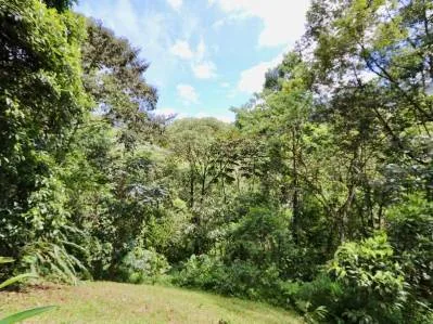 Mountain View jungle property bordered by a river, photo 9