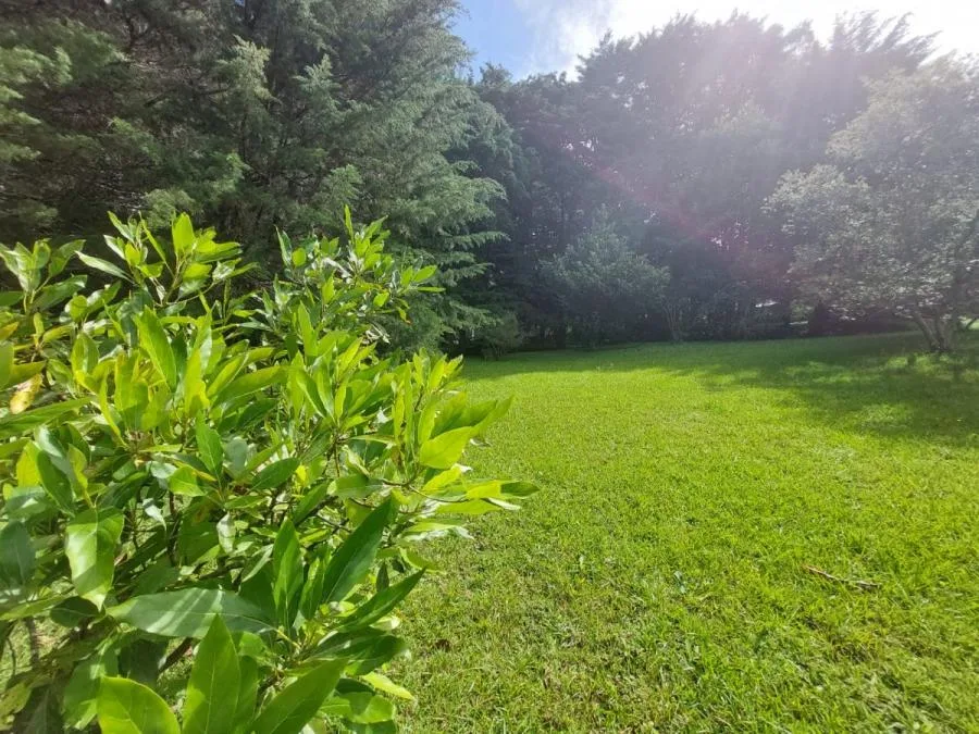 Venta Lote de 2000mts2 en REsidencial El Castillo - Venta en Los Ángeles de San Rafael, photo 2