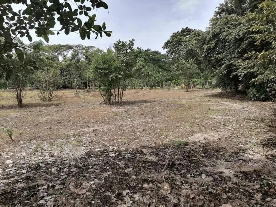 Venta Lote de 2000mts2 en REsidencial El Castillo - Venta en Los Ángeles de San Rafael, photo 11