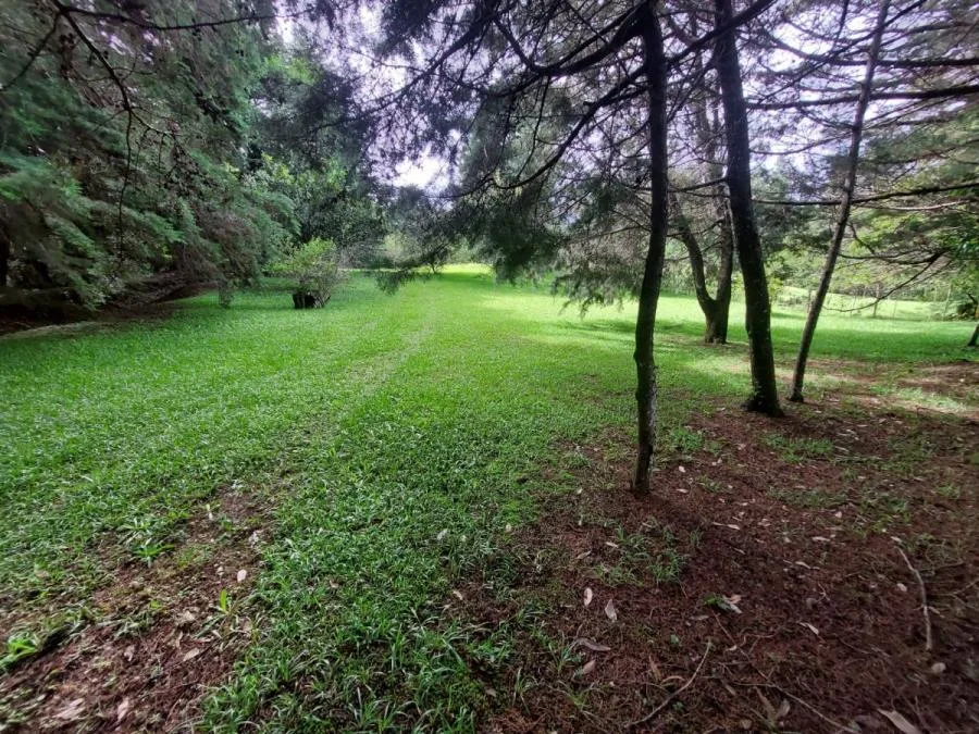 Venta Lote de 2000mts2 en REsidencial El Castillo - Venta en Los Ángeles de San Rafael, photo 8