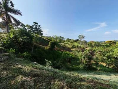 Lote Residencial en Ubicación Codiciada, photo 2