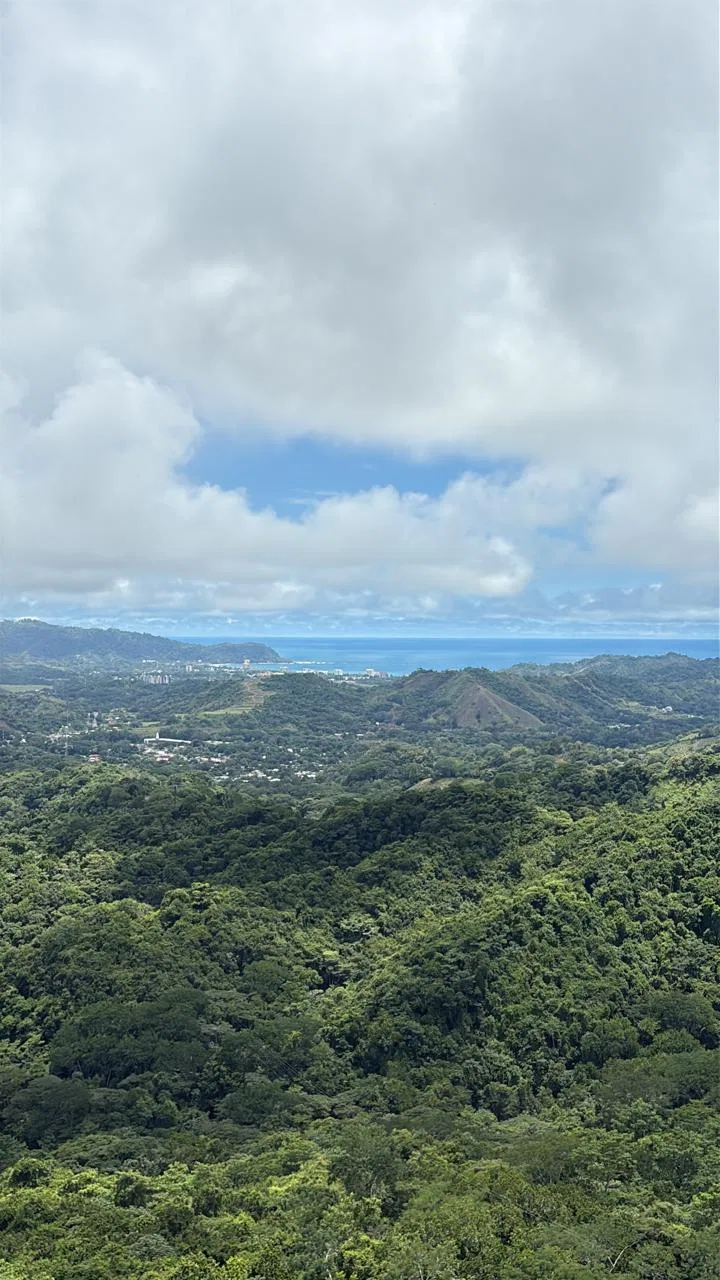 2 Bedroom Mar a Mar Oceanview Condo Near Villa Caletas