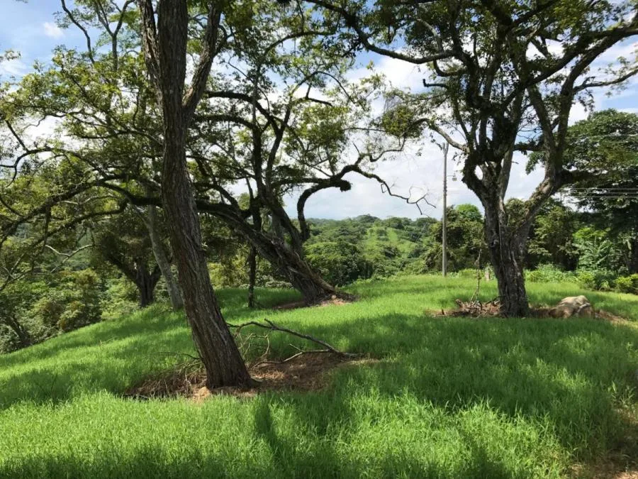 Venta de Lote en Orotina, Alajuela. RAH 26-867 - Venta en Orotina, photo 3
