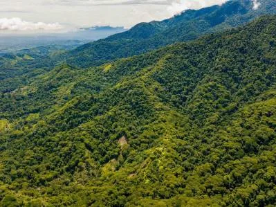 TIERRA DE BOSQUE PRIMARIO
