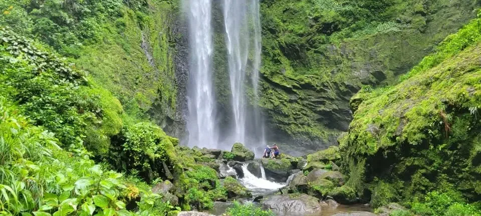Discover an unparalleled escape in the heart of Guapiles, Costa Rica, where nature's splendor unfolds around you. This exceptional property ...