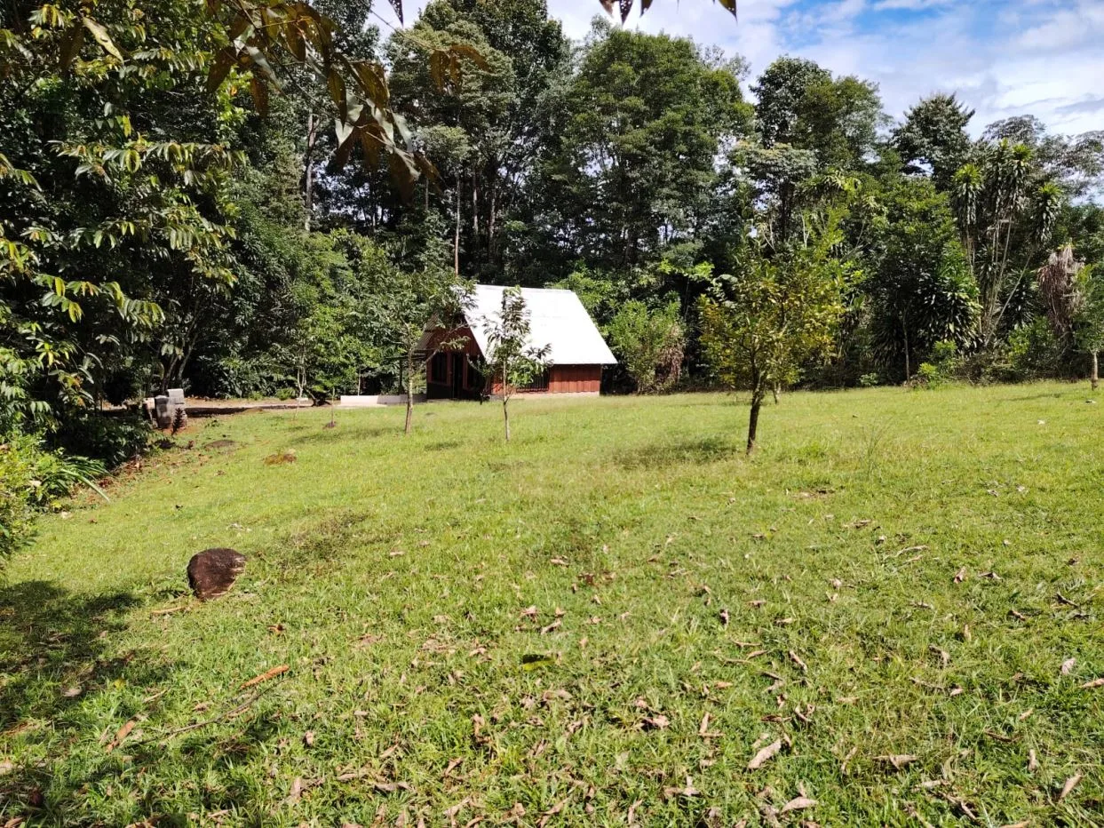 Soulful Retreat - Peaceful Cabin for sale with Creek, Garden &amp; Complete Privacy, photo 11