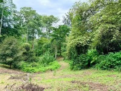 Urbanización La Unión Road – Lotes edificables con acceso al río en Uvita, photo 6