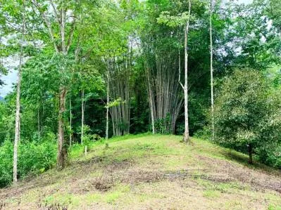 Urbanización La Unión Road – Lotes edificables con acceso al río en Uvita, photo 7