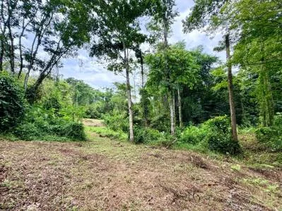 Urbanización La Unión Road – Lotes edificables con acceso al río en Uvita, photo 8