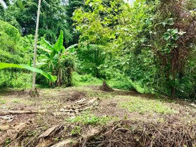 Urbanización La Unión Road – Lotes edificables con acceso al río en Uvita, photo 10