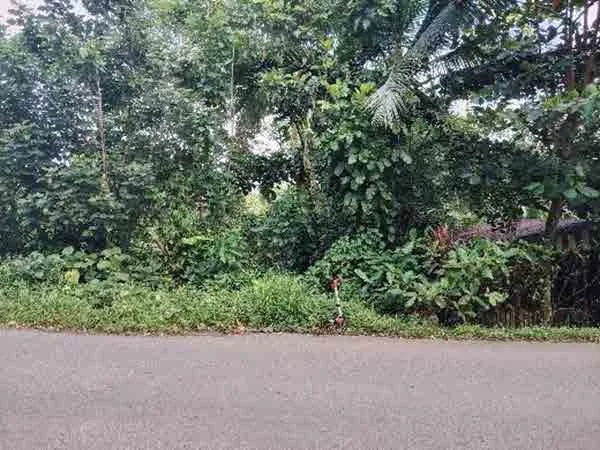Lote en Río Blanco, Limón (bien adjudicado)