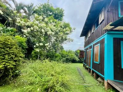 Casa Pipa: Tu Auténtico Escondite en Cahuita con Piscina 🥥