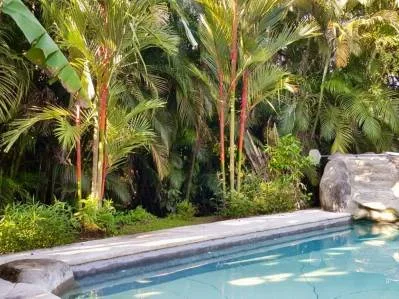 Casa Pipa: Tu Auténtico Escondite en Cahuita con Piscina 🥥, photo 2
