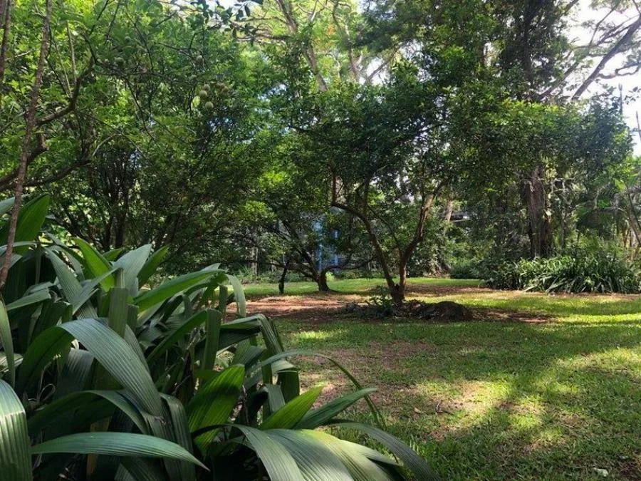 Venta de finca de 5321 M2 ubicada en la garita de Alajuela 25-1298 - Venta en Garita, photo 4