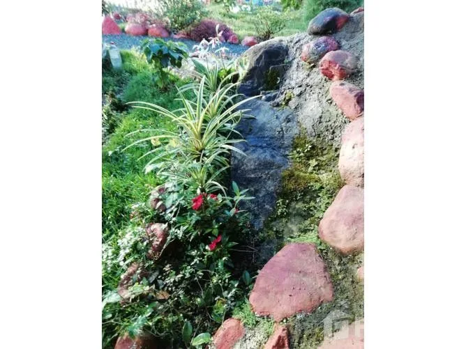 3 Bedroom House for Sale in Perez Zeledon, San Jose for $125,000, photo 8