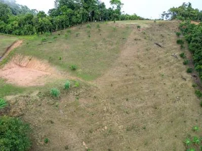 Terreno con vistas al océano, la montaña y la cascada., photo 4