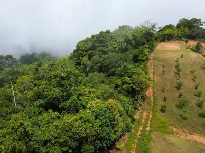 Terreno con vistas al océano, la montaña y la cascada., photo 8