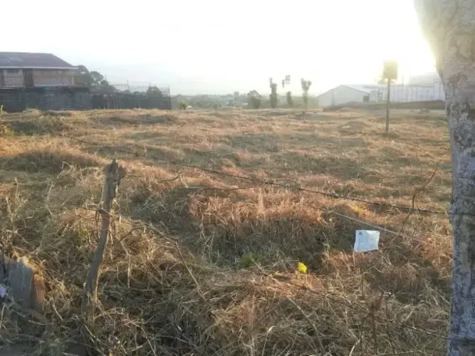 El terreno cuenta con características planas con una pequeña caida al final del terreno., photo 3