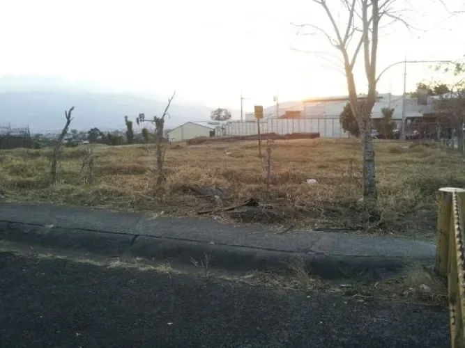 El terreno cuenta con características planas con una pequeña caida al final del terreno., photo 4