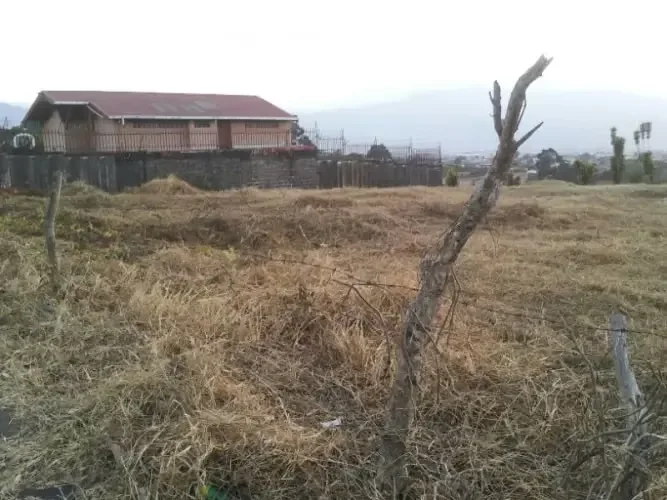 El terreno cuenta con características planas con una pequeña caida al final del terreno., photo 5