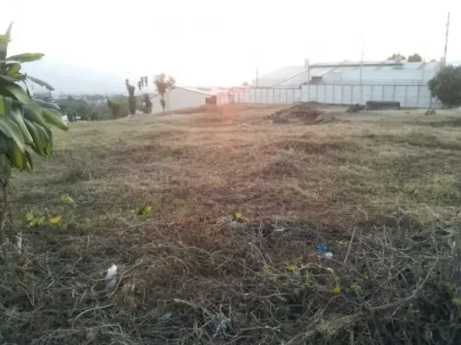 El terreno cuenta con características planas con una pequeña caida al final del terreno., photo 6
