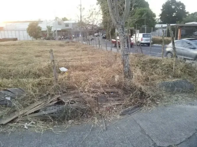 El terreno cuenta con características planas con una pequeña caida al final del terreno., photo 8
