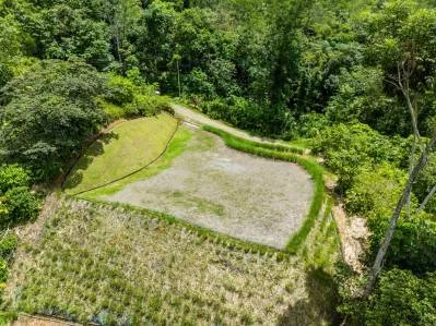 Mountain View Lot for Sale in a Gated Community in Phase 9, Ojochal