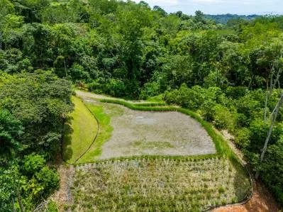 Mountain View Lot for Sale in a Gated Community in Phase 9, Ojochal, photo 2