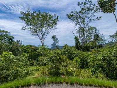 Mountain View Lot for Sale in a Gated Community in Phase 9, Ojochal, photo 8