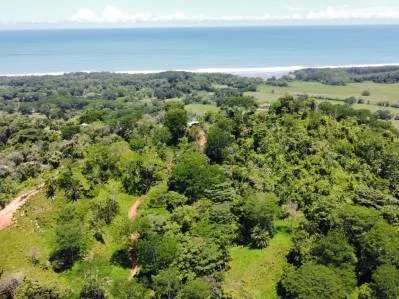 Finca con Alto potencial para desarrollo Recindencial en Dominical, photo 3