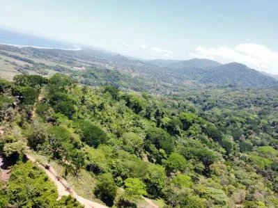 Finca con Alto potencial para desarrollo Recindencial en Dominical, photo 4