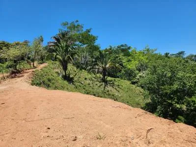 Finca con Alto potencial para desarrollo Recindencial en Dominical, photo 5