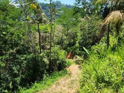 Finca con Alto potencial para desarrollo Recindencial en Dominical, photo 6