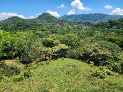 Finca con Alto potencial para desarrollo Recindencial en Dominical, photo 7