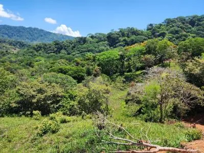 Finca con Alto potencial para desarrollo Recindencial en Dominical, photo 8