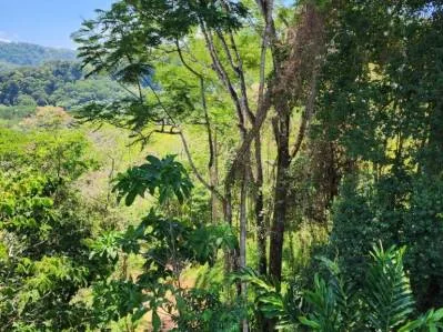 Finca con Alto potencial para desarrollo Recindencial en Dominical, photo 9