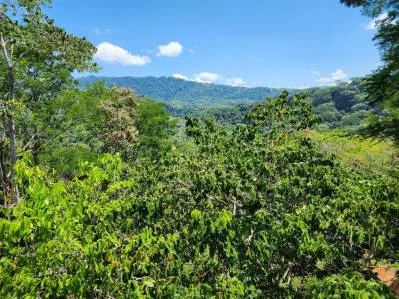 Finca con Alto potencial para desarrollo Recindencial en Dominical, photo 10