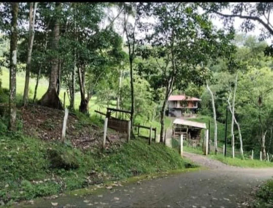 ¡SUEÑO DE VIDA EN VENTA! ENCANTADORA PROPIEDAD Y CASA DE CAMPO EN PURISCAL, SAN JOSÉ - Venta en Puriscal