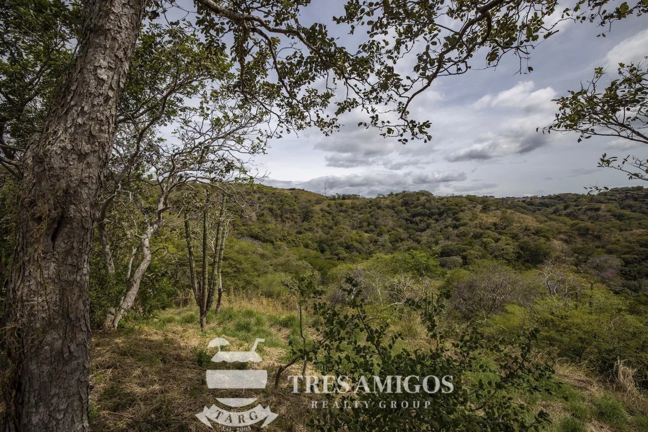 PACIFICO LOT 54, photo 11