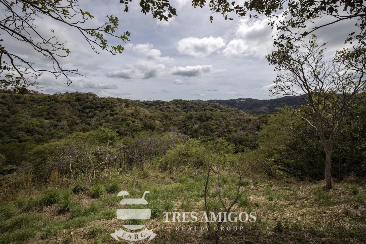 PACIFICO LOT 54, photo 12